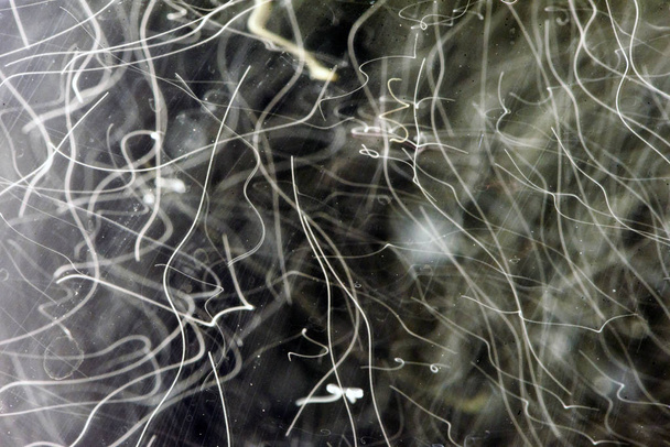 Fizzy Air Bubbles in Liquid Abstract - Fotografie, Obrázek