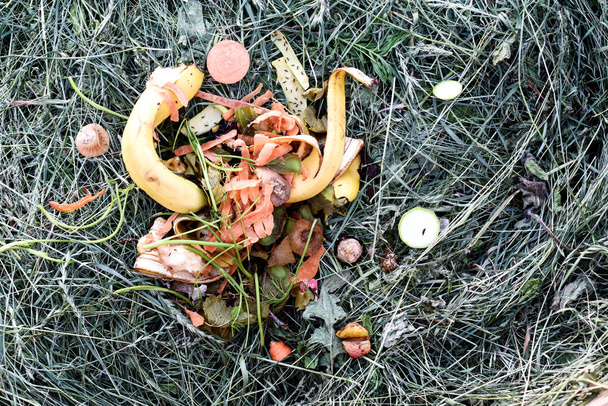 Déchets ménagers organiques dans une poubelle à compost
  - Photo, image