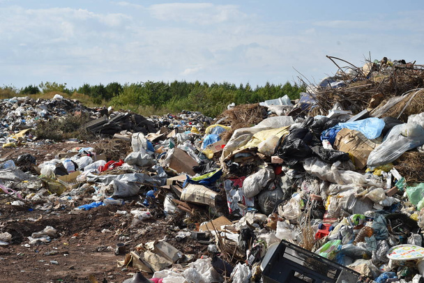 Lugar de vertedero de basura en la naturaleza
 - Foto, imagen