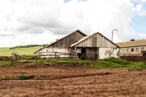 Rural granja europea rusa en verano
 - Foto, imagen