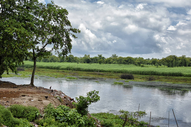 Increíble paisaje del río Jalangi, es una rama del río Ganges en Murshidabad y Nadia distritos en el estado indio de Bengala Occidental
. - Foto, imagen