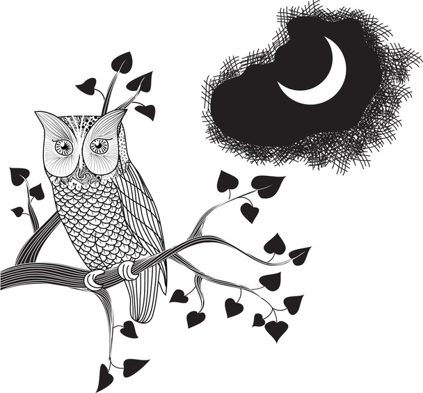 Moonlight Owl, Doodle - Vector, Image