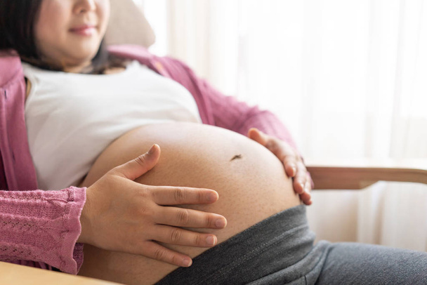 Boldog terhes nő és várandós baba otthon. - Fotó, kép