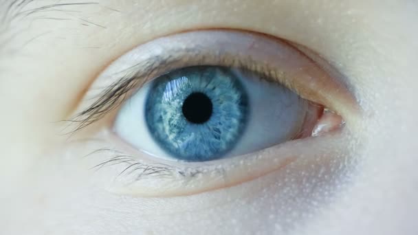 Primer plano Macro Shot de ojo humano femenino
 - Imágenes, Vídeo