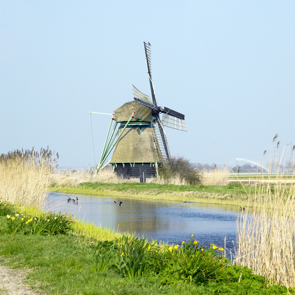 Ανεμόμυλος στην Ολλανδία - Φωτογραφία, εικόνα