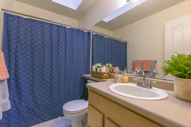 Interior de un pequeño y acogedor cuarto de baño con una sola unidad de tocador y WC
 - Foto, Imagen