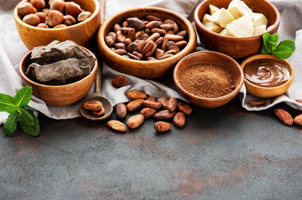 Cocoa beans, butter and chocolate - Photo, Image