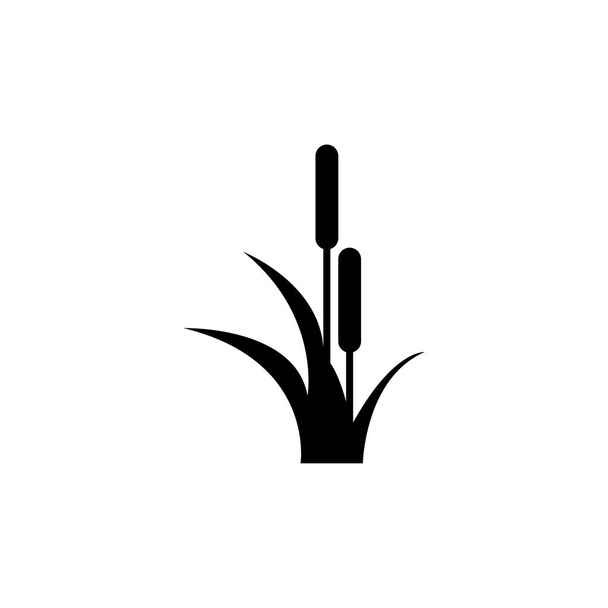 Reed, Cattail, płaska ikona wektora trzciny cukrowej - Wektor, obraz