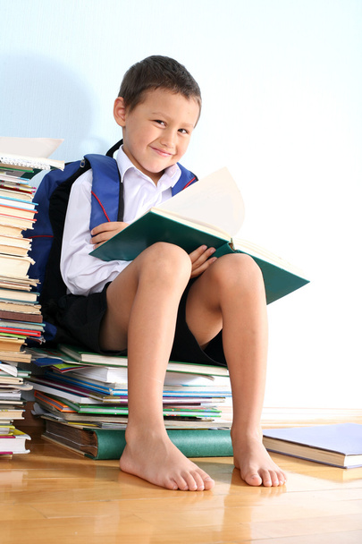 Schoolboy on the heap of books - Foto, Imagen