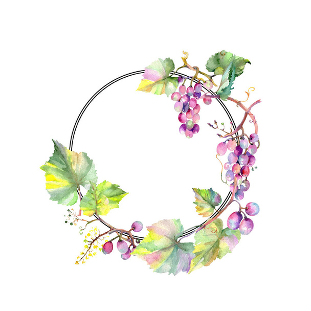 Grape berry healthy food. Watercolor background illustration set. Frame border ornament square. - Zdjęcie, obraz