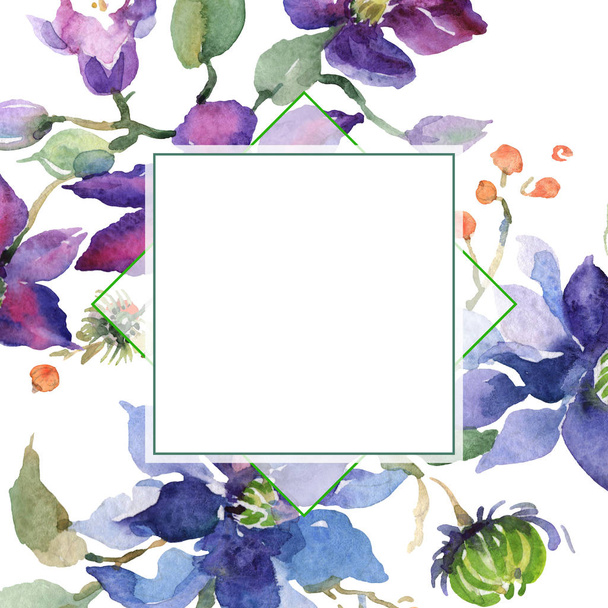 Mazzo di Clematis fiori botanici floreali. Acquerello sfondo illustrazione set. Quadrato ornamento bordo cornice
. - Foto, immagini