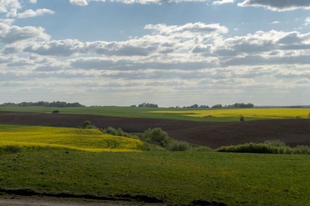 Zemědělská krajina s válcovými kopci - Fotografie, Obrázek