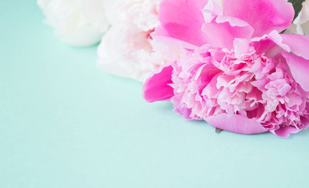 pink peony flowers lie on a mint-colored paper background, minimalism - Foto, afbeelding