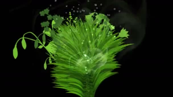 4k lush flower leaves crops shrubs bushes plant grass growing. - Materiał filmowy, wideo