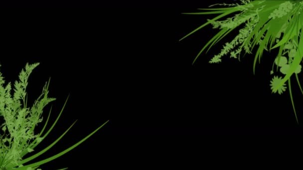 4k üppige Blume Blätter Pflanzen Sträucher Sträucher pflanzen Gras wachsen. - Filmmaterial, Video