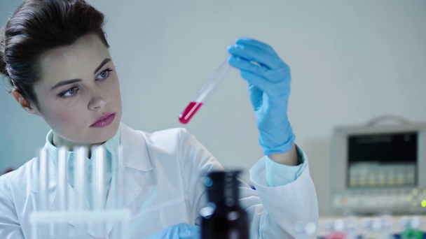 Aufmerksame Wissenschaftlerin betrachtet rote Flüssigkeit im Reagenzglas im klinischen Labor - Filmmaterial, Video