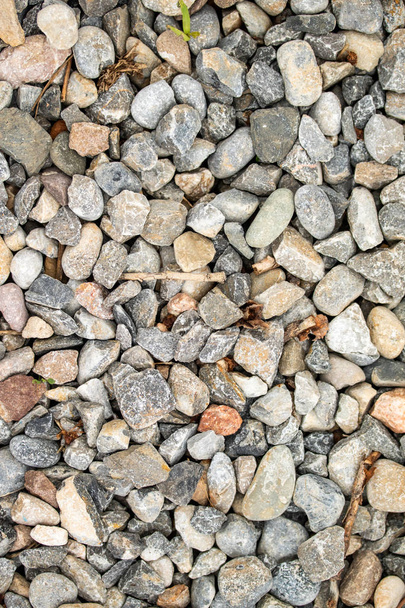 Round sea pebbles background. - 写真・画像