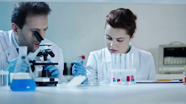 handsome scientist looking in microscope near pretty colleague making analysis in petri dish - Footage, Video