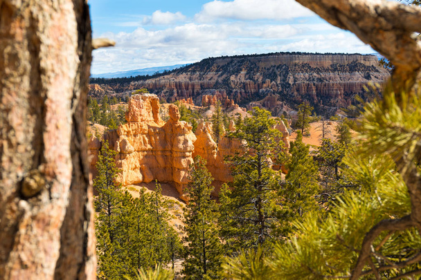 Scenic Bryce Canyon National Park - Photo, Image