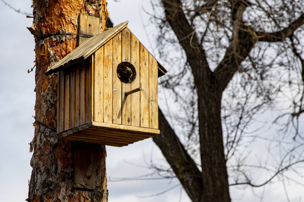 Wooden birdhouse on the tree, spring closeup. - Fotografie, Obrázek