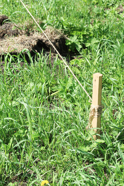 Ξύλινο παλούκι στο έδαφος με ένα σχοινί στο πράσινο γρασίδι. - Φωτογραφία, εικόνα