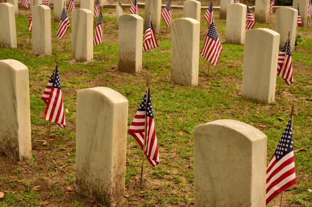 Кладбище ветеранов США
 - Фото, изображение