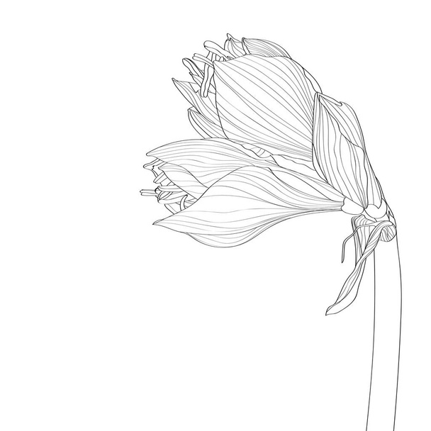 Vektorová ilustrace krásného letního tropického květního vzorku - Vektor, obrázek