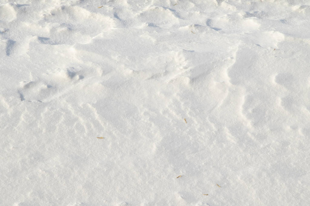 Snow winter background. Top view of snow texture. - Photo, Image