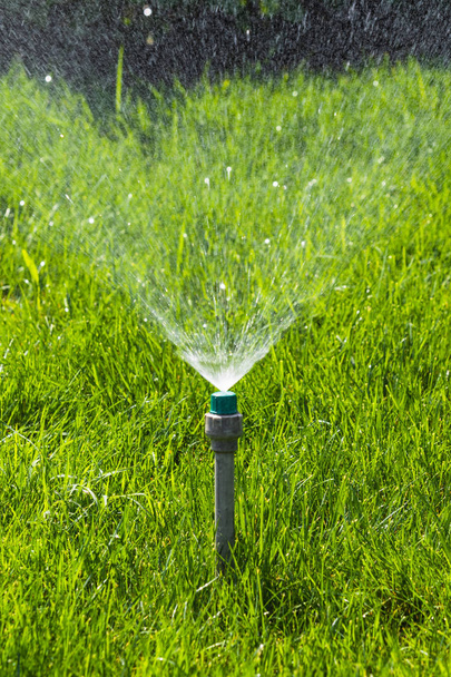 Sistema di irrigazione Innaffiare l'erba verde con sfondo bokeh
. - Foto, immagini