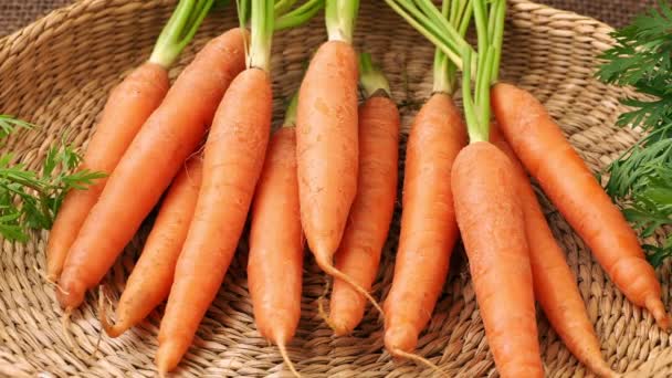 Φρέσκο καρότο σε καλάθι, φυτικό φυτό. - Πλάνα, βίντεο