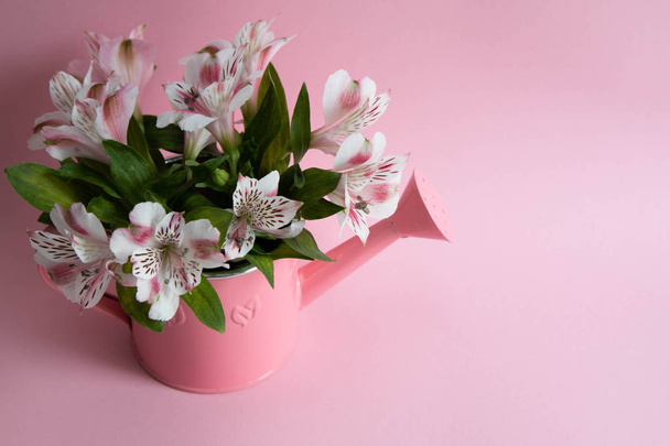 розовая лейка с цветами, лейка с альстромерией, букет цветов в лейке на розовом фоне
 - Фото, изображение