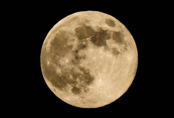 Big round moon on black sky. - Photo, Image