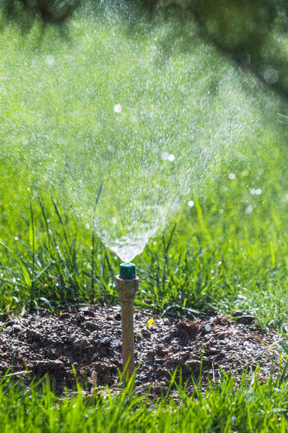 Bewässerungssystem, das das grüne Gras mit Bokeh-Hintergrund wässert. - Foto, Bild