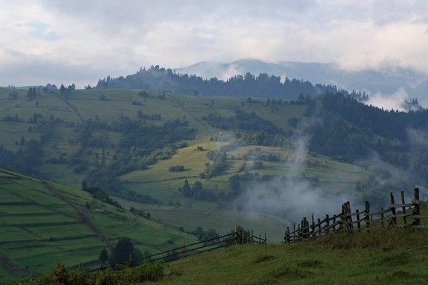 Mist op de groene hellingen van de bergen in de Karpaten - Foto, afbeelding