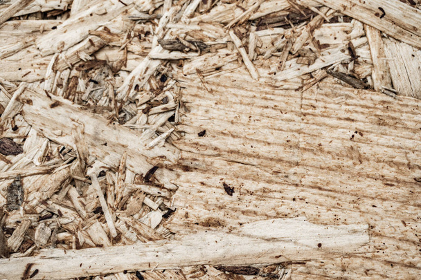 Дерев'яна панель з текстури тріски деревини
. - Фото, зображення