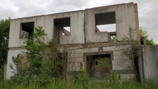 Ruined house in the middle of the field. Abandoned house overgrown with trees. Post apocalyptic. Ruins of a brick building.  Abandoned ruined house in the middle of the field. The ruins of the building. Chernobyl. Exclusion Zone. Chernobyl zone. - Footage, Video