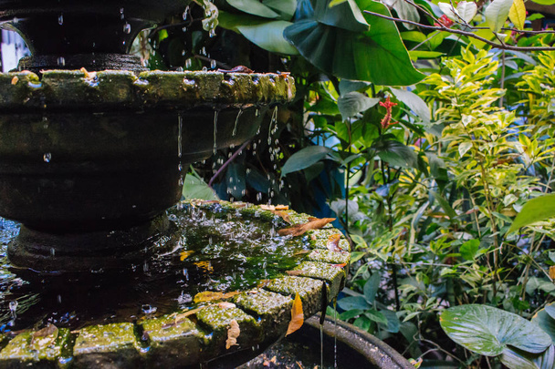 Mała kamienna fontanna w tropikalnym ogrodzie. Fontanna w wazonie w azjatyckim podwórku. Koncepcja Zen i pokoju. Kamienna statua z wodą i zielonymi drzewami i liśćmi. Dekoracja wnętrz. Koncepcja kultury Filipin. - Zdjęcie, obraz