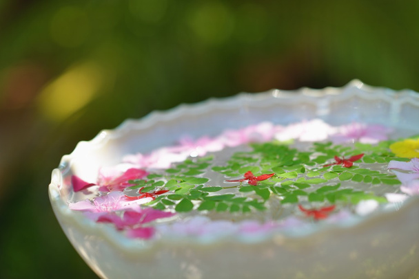 water cup with beautiful flowers background - Photo, Image