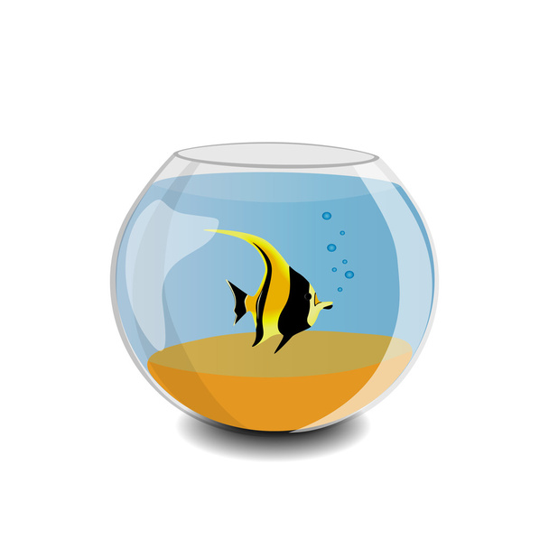 An aquarium with fish moorish idol - Vector, imagen