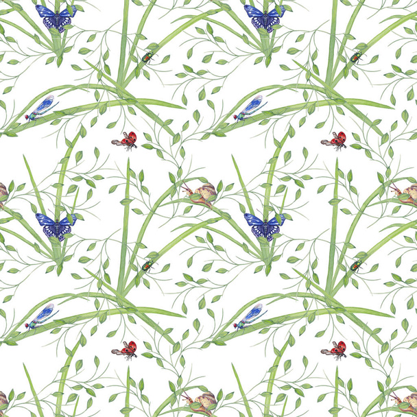 Summer seamless pattern with green grass and insects. - Фото, зображення