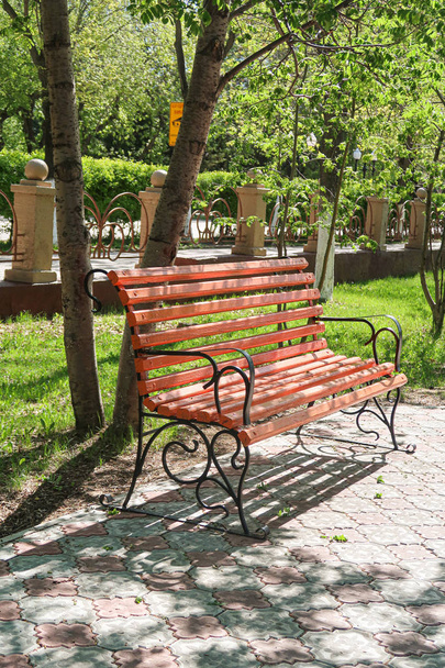 Wooden park bench spring landscape. - Foto, Imagem
