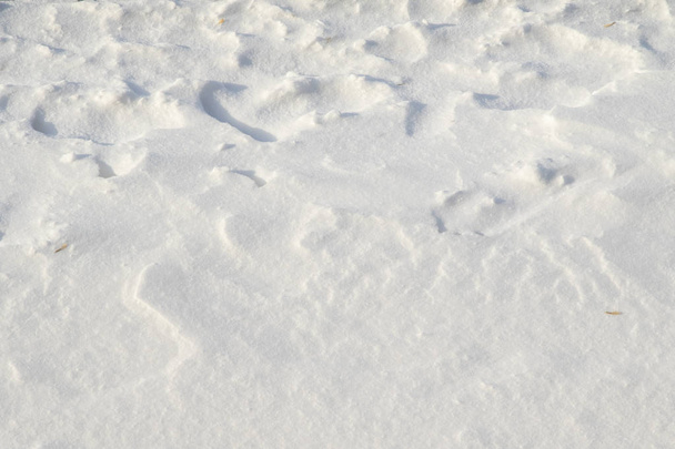 Fondo invierno nieve. Vista superior de la textura de nieve
. - Foto, Imagen