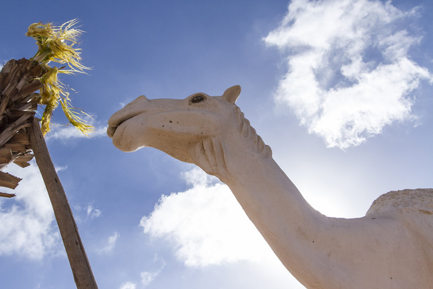 Monumento al camello
 - Foto, imagen