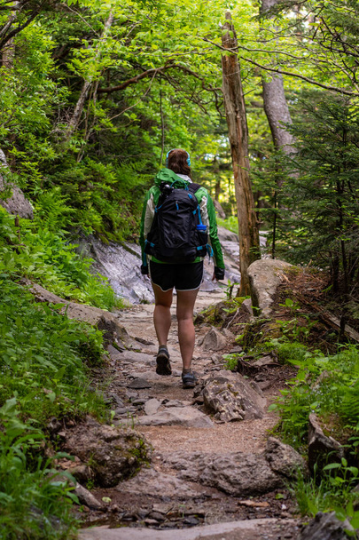 Woman hikes through forest in Smokies - Foto, Imagen