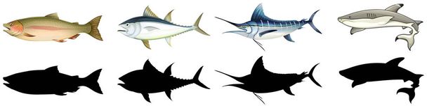 σύνολο διαφορετικά ψάρια - Διάνυσμα, εικόνα