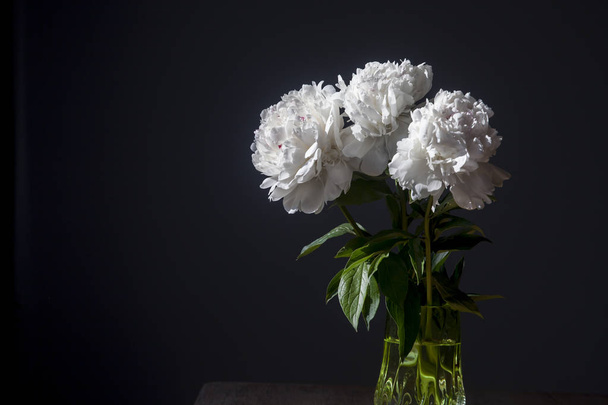 bouquet of white peonies in a transparent vase on a dark background - Fotoğraf, Görsel