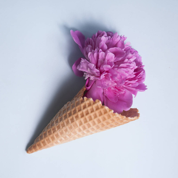 the waffle cup with a big pink peony on a blue background - 写真・画像