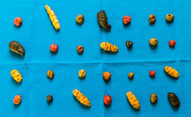 Πολύχρωμη Βολιβιανή και περουβιανή πατάτα και κόνδυλοι κατά χρωματιστό φόντο - Φωτογραφία, εικόνα