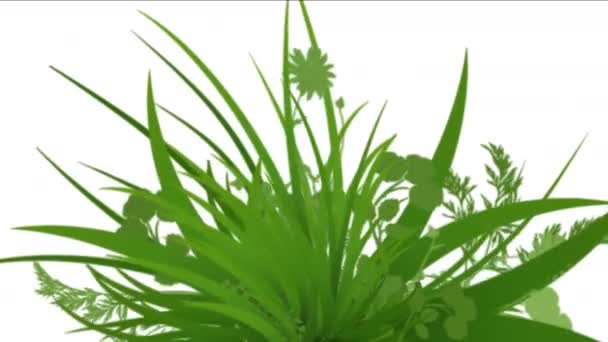 4 k 緑豊かな花葉低木の茂みの植物の草の成長作物. - 映像、動画