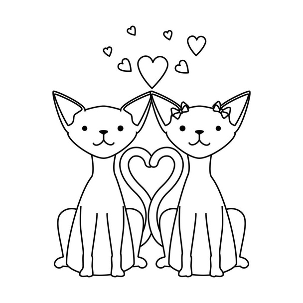 cute couple cats mascots with hearts characters - Вектор,изображение